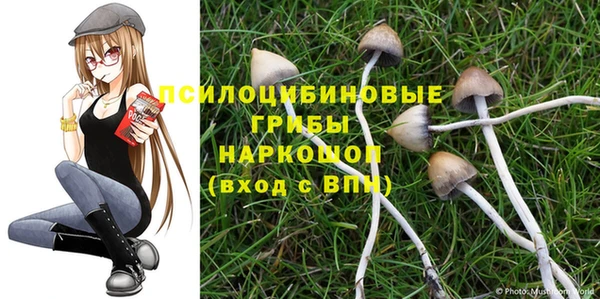 ALPHA PVP Нефтекумск