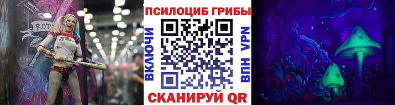 Псилоцибиновые грибы Magic Shrooms  Купить где  Краснознаменск 